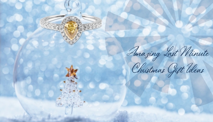 Amazing Last Minute Christmas Gift Ideas